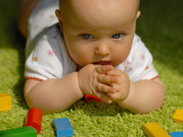 neonato avvicina alla bocca piccolo mattoncino colorato
