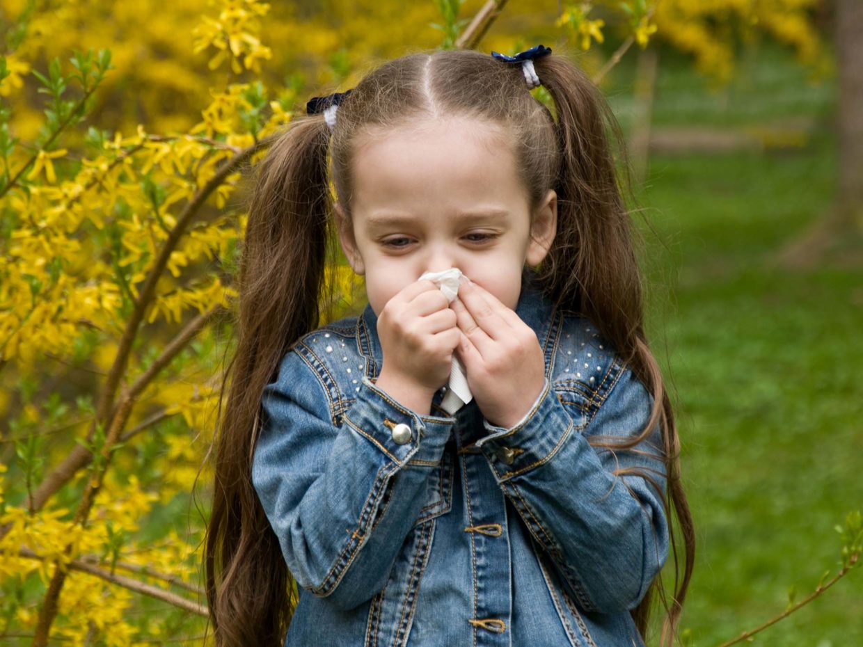 bambina con lunghi capelli si soffia il naso in un campo di fiori