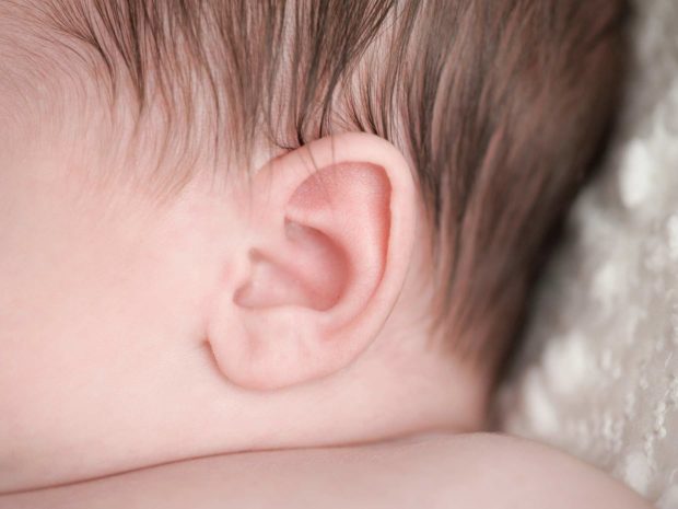 orecchio di un neonato