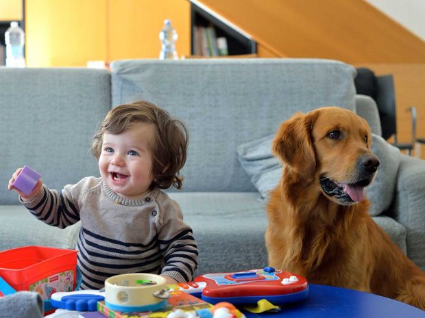 Bambino gioca accanto ad un cane
